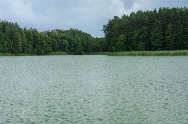 Une Belle Image Paysage Depuis Centre Rivière Entouré Arbres Roseaux — Photo