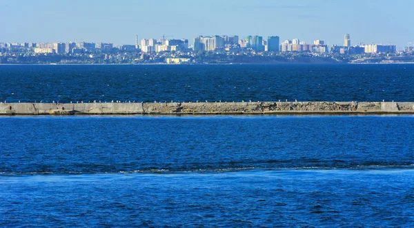 壮丽的全景 可欣赏从大海到沿海地带的城市日落前在柔和的阳光下 岸上的高层建筑和商业设施 — 图库照片