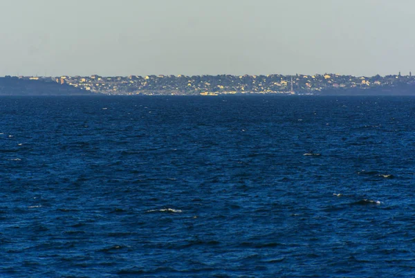 Magnifika Panorama Utsikten Från Havet Till Den Kustnära Remsan Staden — Stockfoto