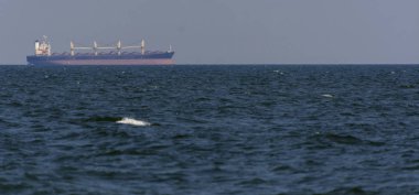 Odessa, Ukrayna - 08 Ağustos 2018. Bir büyük kargo gemisi açık denizde akşam yumuşak güneş ışığı altında mavi gökyüzü karşı konteyner taşımaları. Karadeniz, Ukrayna navlun trafik kavramı.