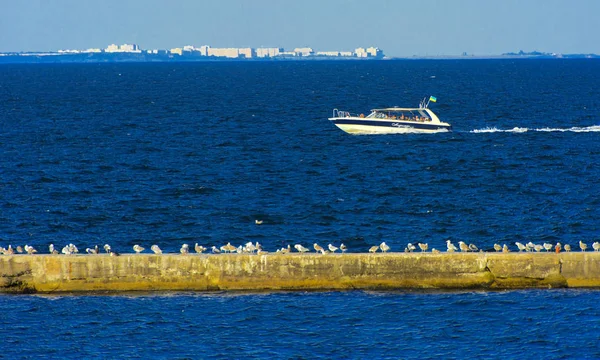 Odessa Ukrajna Augusztus 2018 Hajó Nyílt Tengeren Sétálni Esti Puha — Stock Fotó