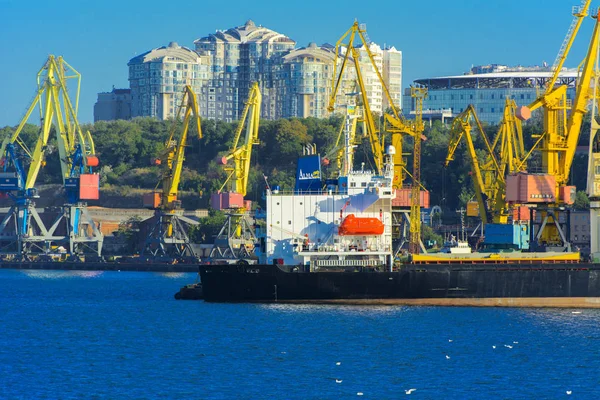 Odessa Ucraina Agosto 2018 Grandi Gru Funzionanti Carico Portacontainer Vari — Foto Stock