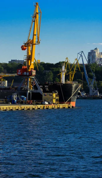 Odessa Ukraine August 2018 Big Working Cranes Loading Containerships Various — Stock Photo, Image