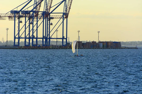 Odessa Ukraine August 2018 Große Arbeitskräne Zum Laden Von Containerschiffen — Stockfoto