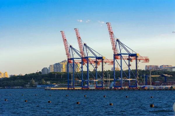 Odessa Ukraine August 2018 Big Working Cranes Loading Containerships Various — Stock Photo, Image