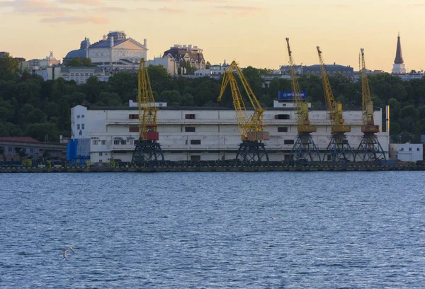 Odessa Ukraine August 2018 Big Working Cranes Loading Containerships Various Royalty Free Stock Photos