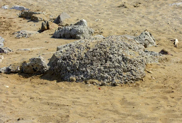 沙地城堡由孩子们在海滩上用湿沙建造 沙地上的城堡在阳光明媚的日子里 在沙滩上享受乐趣 暑假和旅游的概念 — 图库照片