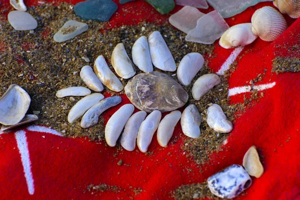 Sea shells - a variety of sea shells from the beach. Shells, sea colored stones on a red towel on the sand. Summer beach background. View from above. Decorative composition is flat.