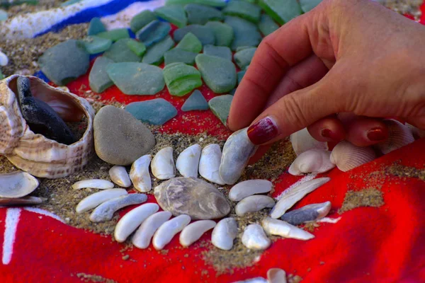 Sea shells - a variety of sea shells from the beach. Shells, sea colored stones on a red towel on the sand. Summer beach background. View from above. Decorative composition is flat.