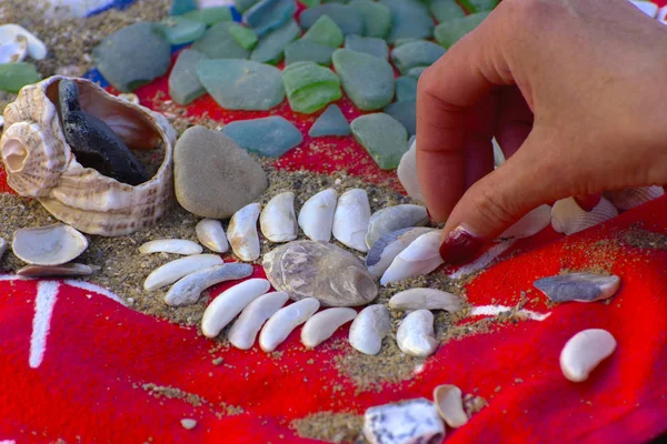 Sea shells - a variety of sea shells from the beach. Shells, sea colored stones on a red towel on the sand. Summer beach background. View from above. Decorative composition is flat.