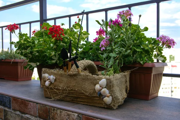 Piękne Oryginalnie Urządzone Balkon Domowe Ręcznie Robione Doniczki Pełen Kwiatów — Zdjęcie stockowe