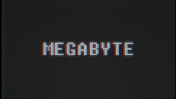 Retro videogame MEGABYTE word text computer tv glitch interference noise screen animation seamless loop New quality universal vintage motion dynamic animated background colorful joyful video m — Stock Video