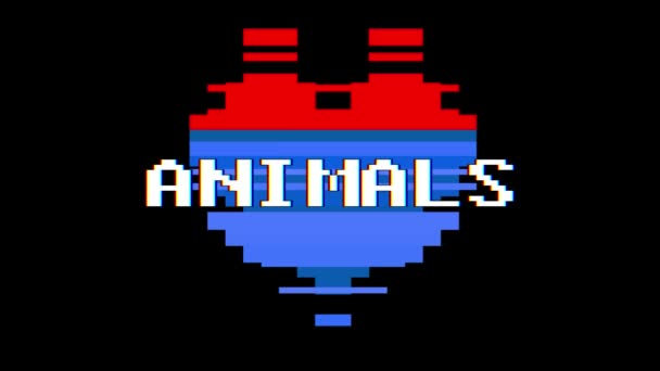Pixel heart ANIMALES texto de la palabra glitch interferencia pantalla sin costuras bucle animación fondo nuevo dinámico retro vintage alegre colorido vídeo — Vídeos de Stock
