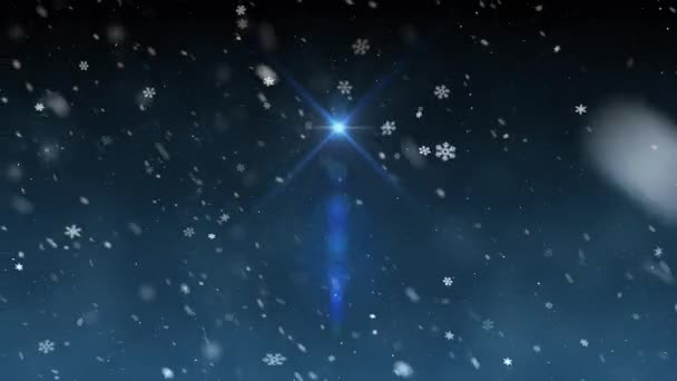 Weihnachtsstern Licht Schnee fallende Animation Hintergrund neue Qualität universelle Bewegung dynamisch animiert bunt fröhlich Urlaub Musik Videomaterial — Stockvideo