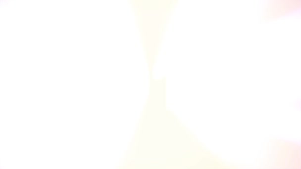 Текст 2019 года в свете вспышки взрыва радуги цвета блестящей анимации петля на черном фоне новое качество прохладно приятное движение радостный праздник видео дизайн петли — стоковое видео