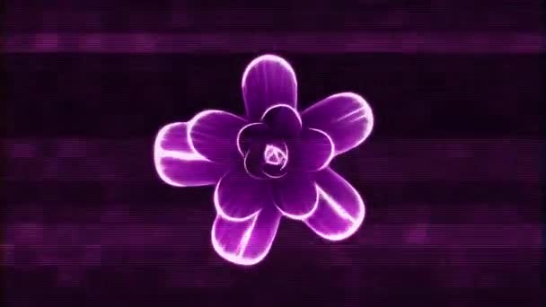 Neon opening long blooming purple flower time-lapse glitch noise background animation new quality beautiful holiday natural floral cool nice 4k vídeo footage — Vídeo de Stock