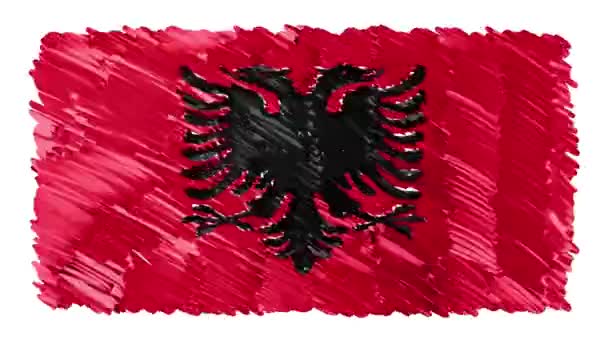Stop motion marqueur dessiné Albanie drapeau dessin animé animation arrière-plan nouvelle qualité patriotique national coloré symbole vidéo — Video