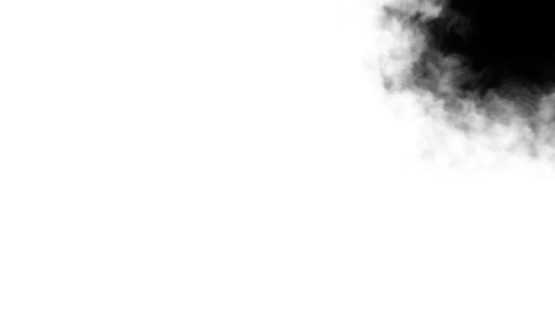 Negro tinta salpicadura blot difusión turbulento movimiento abstracto pintura animación fondo nuevo arte de calidad única elegante colorido alegre fresco agradable movimiento dinámico hermoso video metraje — Vídeos de Stock
