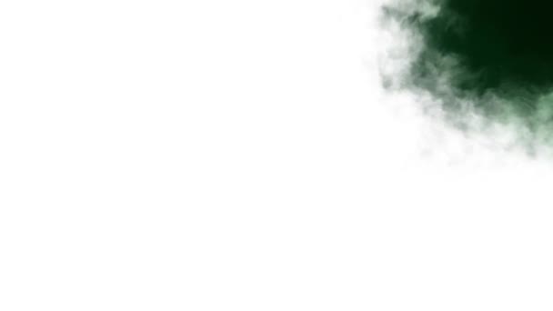 Verde tinta salpicadura blot difusión turbulento movimiento abstracto pintura animación fondo nuevo arte de calidad única elegante colorido alegre fresco agradable movimiento dinámico hermoso video metraje — Vídeo de stock