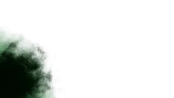 Πιτσιλίσματα πράσινο μελάνι λεκές εξαπλώνεται ταραχώδη κινείται αφηρημένη ζωγραφική κινούμενα σχέδια νέα μοναδική ποιότητα τέχνης κομψό πολύχρωμες χαρούμενες δροσερό ωραία κίνηση δυναμική όμορφη βιντεοσκοπημένων εικονών υποβάθρου — Αρχείο Βίντεο