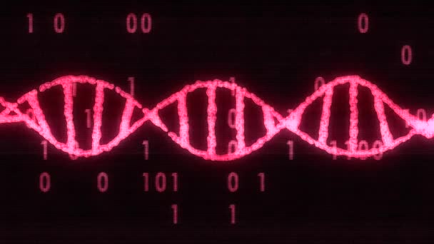 DNA-spiral molekylen roterar på digitala störningar buller binar koden glitched skärm animation bakgrund nya kvalitet vacker naturlig hälsa cool nice video arkivfilmer — Stockvideo