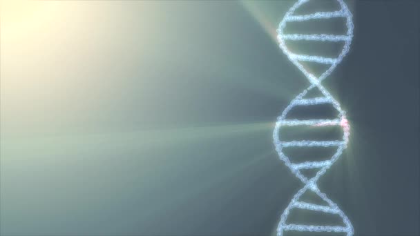 Dna Spirale Molecola Rotazione Animazione Sfondo Nuova Qualità Bella Salute — Video Stock