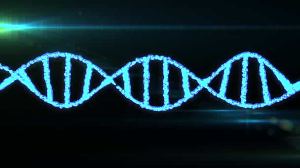 DNA espiral molécula rotativa animação fundo nova qualidade bela saúde natural legal bom estoque de imagens de vídeo — Vídeo de Stock