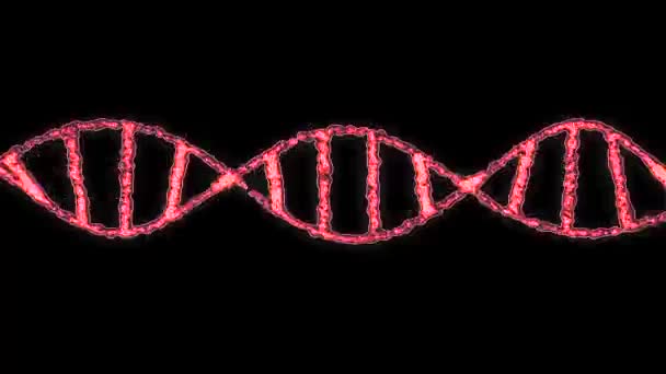 DNA spirala cząsteczki gromadzenie cząstek i obracanie animacji tła nowej jakości pięknego, naturalnego zdrowia fajne ładne Stockowy wideo — Wideo stockowe