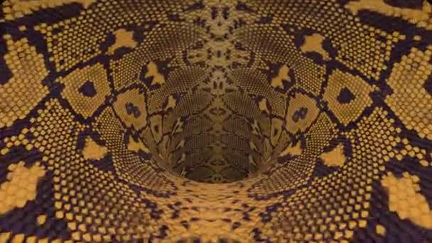 Snakeskin wormhole funnel tunnel flight seamless loop animation background new quality vintage style cool nice beautiful 4k stock video footage — Stock Video