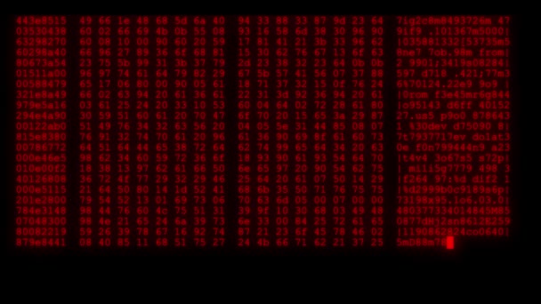 Cifrado rápido y largo desplazamiento programación seguridad piratería código flujo de datos en pantalla roja nuevos números de calidad letras codificación techno alegre vídeo 4k archivo de archivo — Vídeo de stock