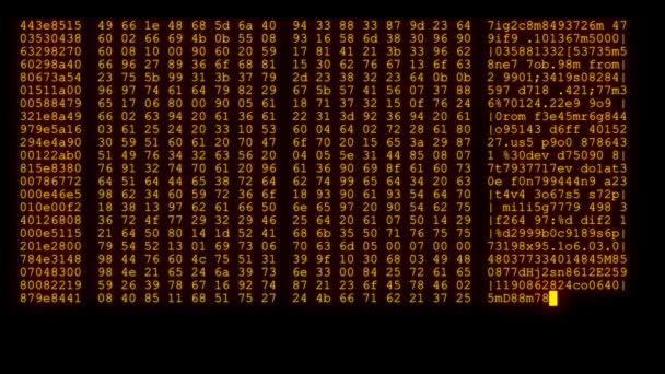 Verschlüsselte schnelle lange Scrollen Programmierung Sicherheit Hacking Code Datenfluss auf Bernstein orange Anzeige neue Qualität Zahlen Buchstaben Codierung Techno freudige Video 4k Stock Footage — Stockvideo
