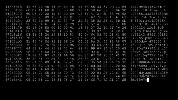 Cifrado rápido y largo desplazamiento programación seguridad piratería código flujo de datos en blanco negro pantalla nuevos números de calidad letras codificación techno alegre vídeo 4k archivo — Vídeos de Stock