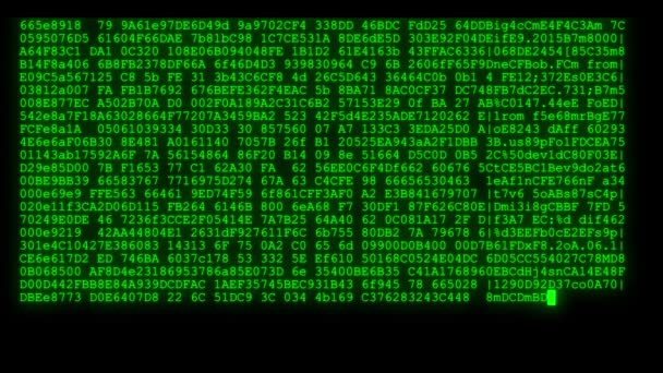 Criptato veloce lungo scorrimento programmazione sicurezza hacking flusso di dati codice sul display verde nuovi numeri di qualità lettere di codifica techno gioioso video 4k magazzino filmato — Video Stock