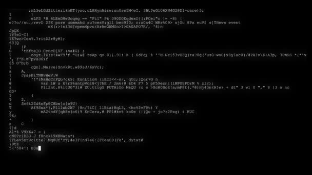 Cifrado rápido y largo desplazamiento programación seguridad piratería código flujo de datos en blanco negro pantalla nuevos números de calidad letras codificación techno alegre vídeo 4k archivo — Vídeo de stock