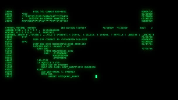 Criptato veloce lungo scorrimento programmazione sicurezza hacking flusso di dati codice sul display verde nuovi numeri di qualità lettere di codifica techno gioioso video 4k magazzino filmato — Video Stock