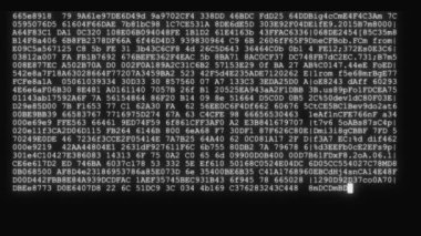 siyah beyaz bir görünümü yeni kalite numaraları harf techno neşeli video 4 k Stok görüntüleri kodlama akışta şifreli hızlı uzun kayan programlama güvenlik kesmek kod veri akışı