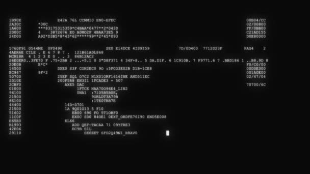 Criptato veloce lungo scorrimento programmazione sicurezza hacking flusso di dati del codice sul display bianco nero nuovi numeri di qualità lettere codifica techno gioioso video 4k stock metraggio — Video Stock