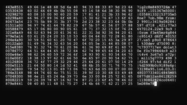 Criptografado rápido longo rolagem programação segurança hacking código fluxo de dados em preto branco exibir novos números de qualidade letras codificação techno alegre vídeo 4k estoque imagens — Vídeo de Stock