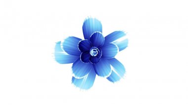 çiçek çiçek illüstrasyon arka plan yeni kalite güzel tatil doğal çiçek serin güzel 4k stok görüntü izole