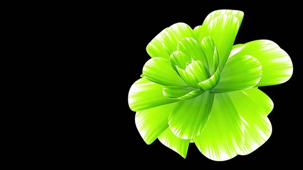 Flor floração ilustração isolado no fundo nova qualidade bonito feriado natural floral legal agradável 4k imagem stock — Fotografia de Stock