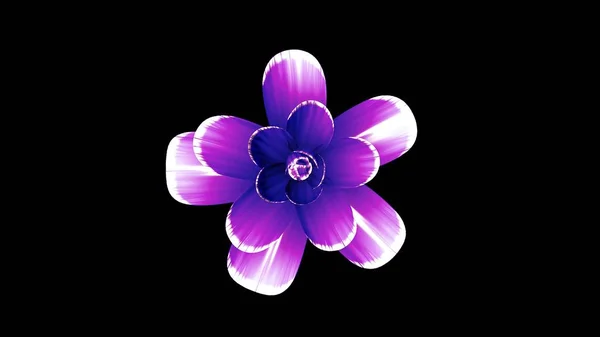 Цветущий цветок иллюстрация изолированы на заднем плане новое качество красивый праздник натуральный цветок прохладно 4k изображения запаса — стоковое фото