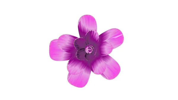 Blühende Blume Illustration isoliert auf Hintergrund neue Qualität schönen Urlaub natürliche Blumen cool schön 4k Aktienbild — Stockfoto
