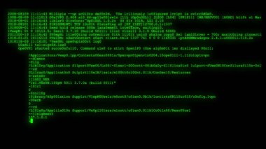 şifreli programlama güvenlik hack kodu veri akışı ekranda yeni kalite numaraları harfler tekno neşeli video 4k stok görüntü kodlama