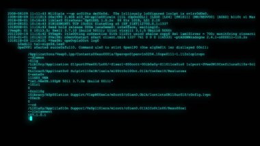 şifreli programlama güvenlik hack kodu veri akışı ekranda yeni kalite numaraları harfler tekno neşeli video 4k stok görüntü kodlama