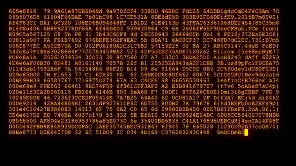 Шифрованное программирование безопасности хакерский код потока данных на дисплее новые качественные цифры буквы кодирования техно радостное видео 4k фондового изображения — стоковое фото