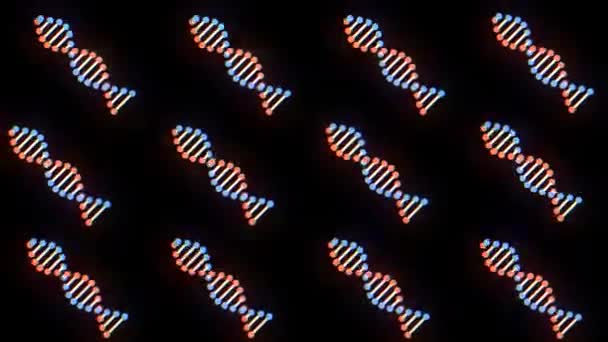 Muchos glitched brillante ADN espiral molécula girando en el espacio sin costuras bucle animación fondo nueva calidad hermosa salud natural fresco buena acción 4k video metraje — Vídeo de stock