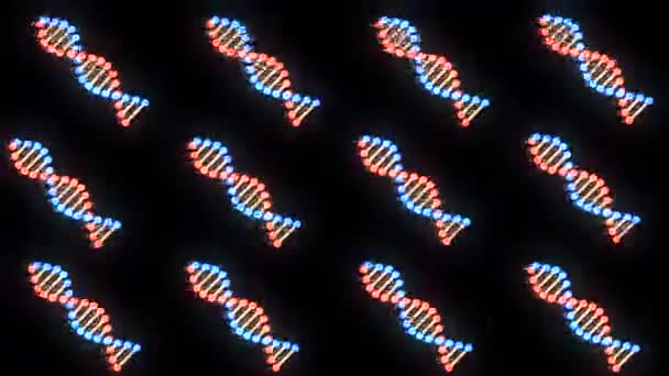 Sok glitched fényes DNS spirális molekula forog a térben zökkenőmentes hurok animáció háttér új minőségű gyönyörű természetes egészség cool szép állomány 4k videofelvétel — Stock videók