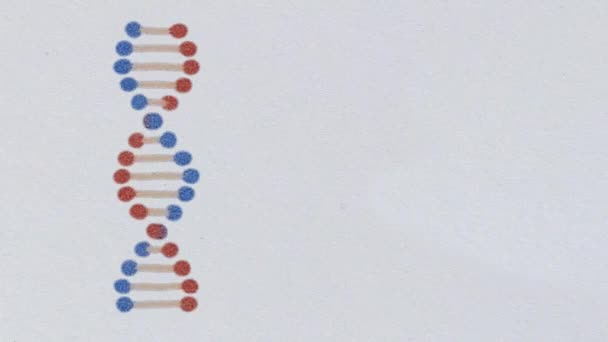 Dibujos animados ADN lápiz dibujado espiral molécula girando en el espacio sin costuras bucle animación fondo nueva calidad hermosa salud natural fresco buena acción 4k video metraje — Vídeo de stock