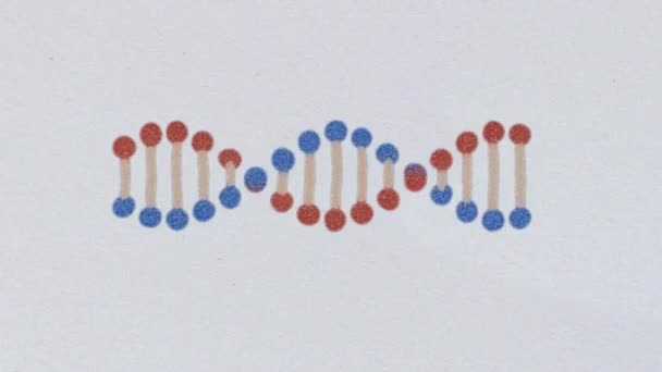 Desenho animado DNA lápis desenhado espiral molécula girando no espaço sem costura loop animação fundo nova qualidade bonito natural saúde legal bom estoque 4k vídeo footage — Vídeo de Stock