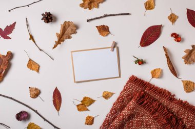 Sonbahar arka plan: düşmüş yaprakları, Kuru bitkiler, boş kağıt Kırtasiye şablonu / davet mockup ve beyaz ekose. Üstten görünüm. Düz yatıyordu.